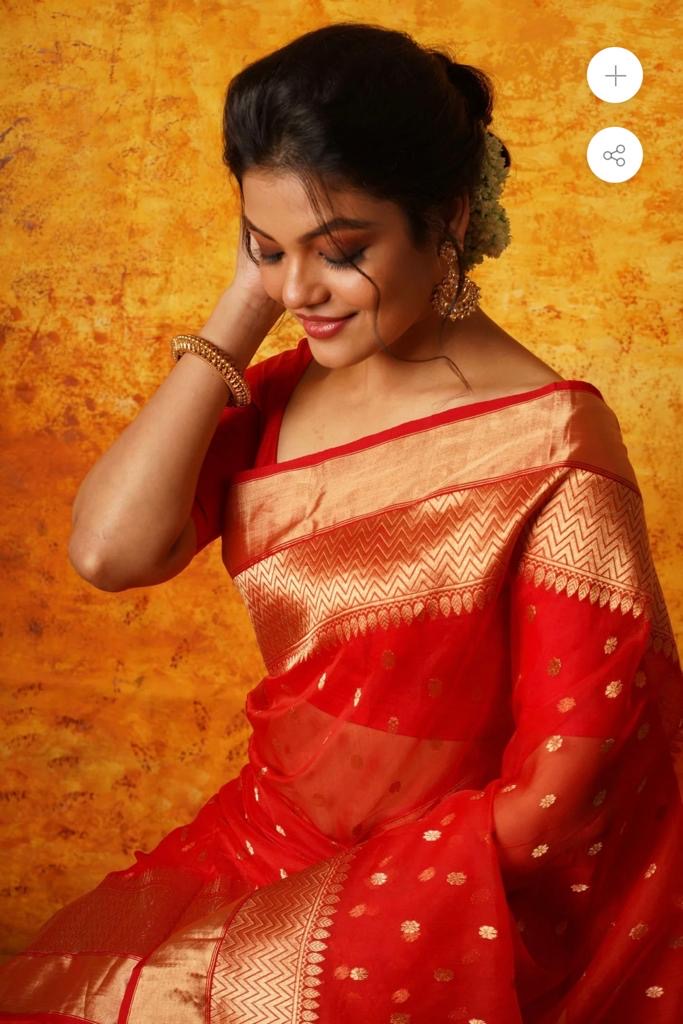 Red colour golden zare border saree Chanderi saree wala